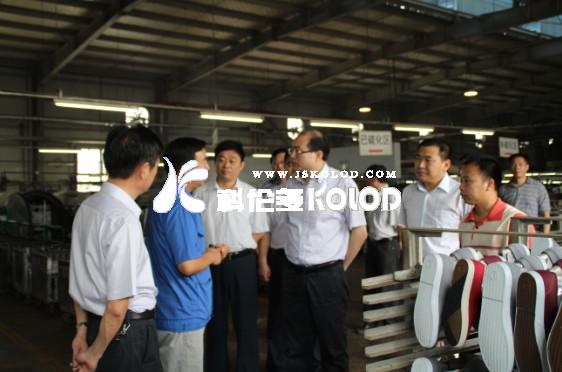 省統計局領導一行蒞區參觀調研企業發展情況