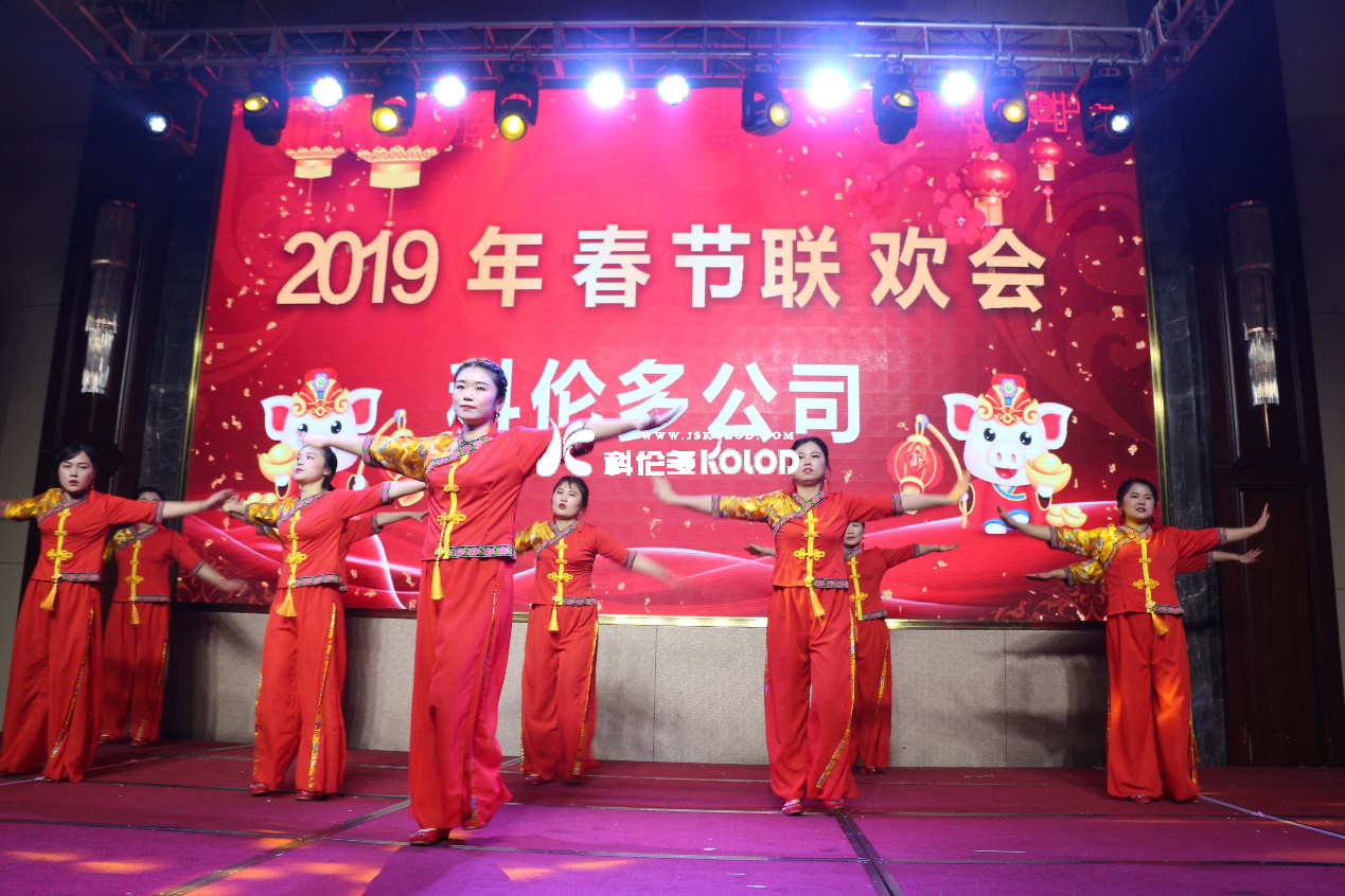 凱歌高奏辭舊歲，豪情滿懷迎新年 （科倫多隆重舉行2019春節聯歡晚會）