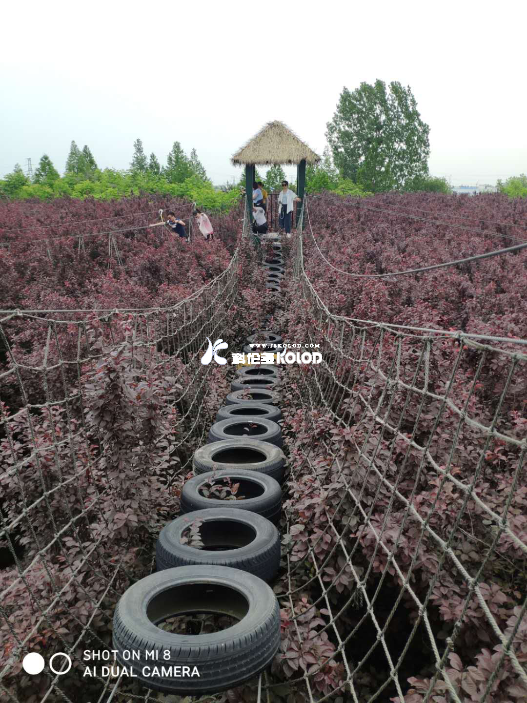 追求卓越團隊、鑄造優秀團隊、共創企業輝煌 （江蘇科倫多赴兆隆林海灣叢林樂園開展團建活動）